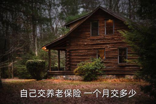 個人交養(yǎng)老金多少錢一個月多少錢,個人養(yǎng)老金交幾年