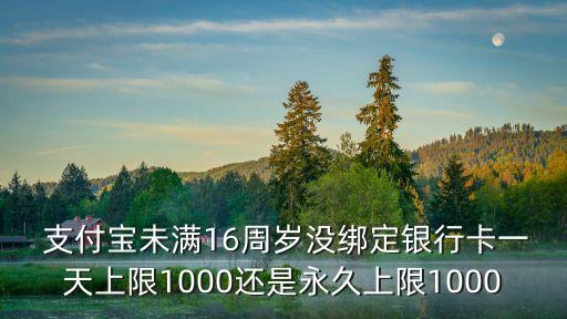 中信 儲蓄卡 支付寶限額多少,農業(yè)銀行儲蓄卡轉支付寶限額怎么提高