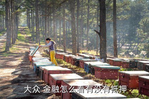  大眾 金融怎么看有沒有抵押