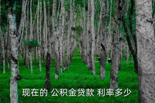 現(xiàn)在的 公積金貸款 利率多少