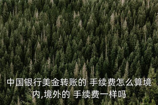 中國銀行美金轉(zhuǎn)賬的 手續(xù)費(fèi)怎么算境內(nèi),境外的 手續(xù)費(fèi)一樣嗎