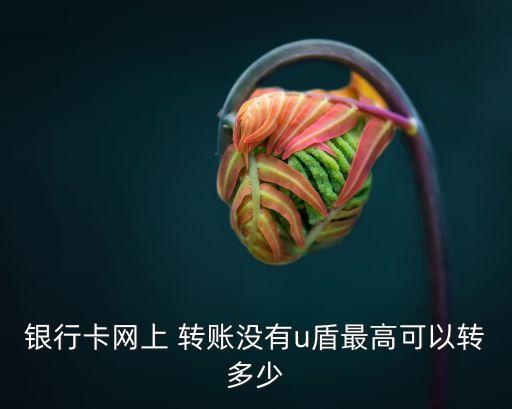 銀行卡網(wǎng)上 轉(zhuǎn)賬沒有u盾最高可以轉(zhuǎn)多少
