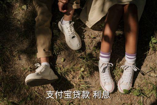 支付寶貸款 利息