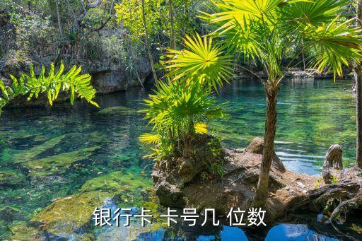 一般信用卡卡號是多少位數(shù),臺灣信用卡卡號多少位