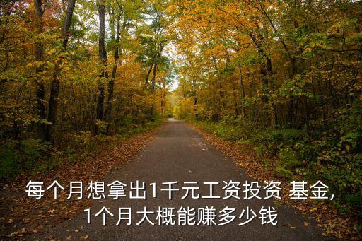 pp基金一個月能賺多少,3000元買基金一個月能賺多少