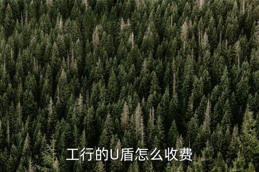 工行的U盾怎么收費(fèi)