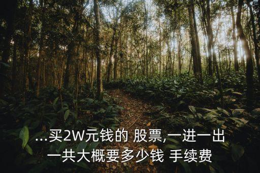 ...買2W元錢的 股票,一進(jìn)一出一共大概要多少錢 手續(xù)費(fèi)