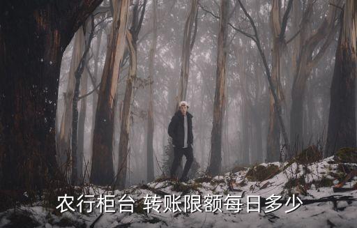 農(nóng)行一天轉(zhuǎn)賬多少錢,農(nóng)行轉(zhuǎn)賬多少錢要用K寶