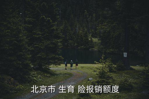 北京生育險(xiǎn)報(bào)了多少,不在北京生孩子生育險(xiǎn)能報(bào)嗎