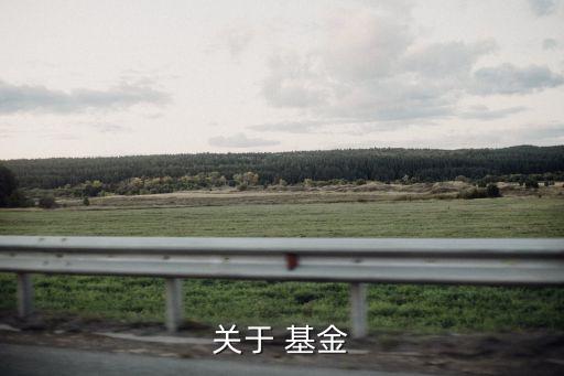 關(guān)于 基金