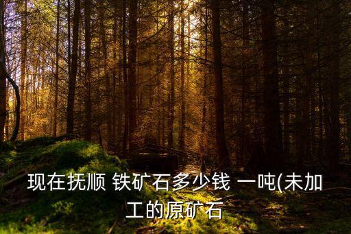 鐵礦一般多少錢一噸,鐵礦多少錢一噸2022