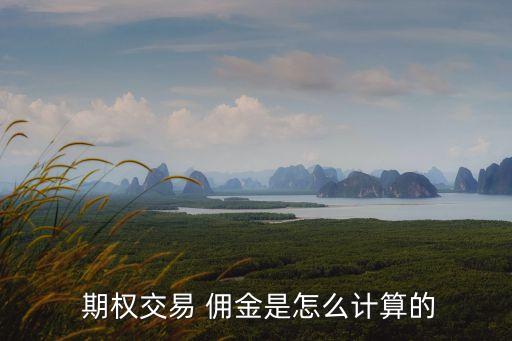 期權交易 傭金是怎么計算的