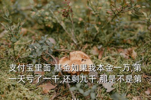 基金下折1w虧多少
