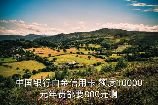 中國銀行白金信用卡 額度10000元年費都要800元啊