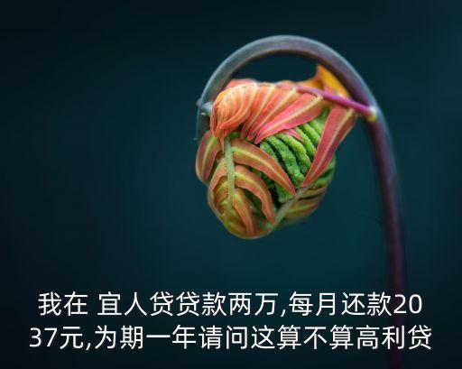 我在 宜人貸貸款兩萬(wàn),每月還款2037元,為期一年請(qǐng)問(wèn)這算不算高利貸
