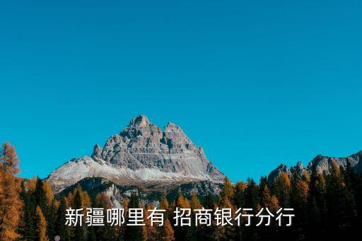 新疆哪里有 招商銀行分行