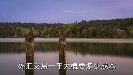  外匯交易一手大概要多少成本