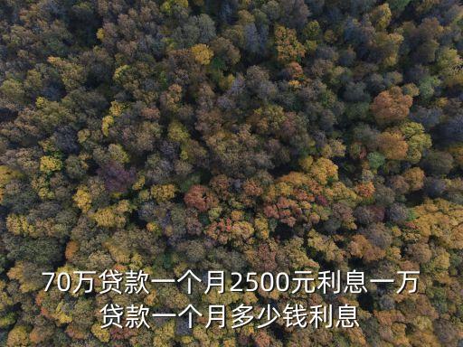 70萬(wàn)貸款一個(gè)月2500元利息一萬(wàn)貸款一個(gè)月多少錢利息