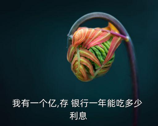 我有一個億,存 銀行一年能吃多少 利息