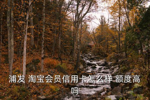 淘寶金卡和白金卡額度是多少,民生金卡升級白金卡額度會提升嗎