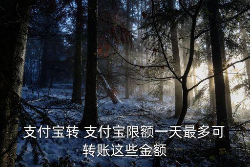 轉賬到支付寶最多轉多少,支付寶轉賬最多可以轉幾萬