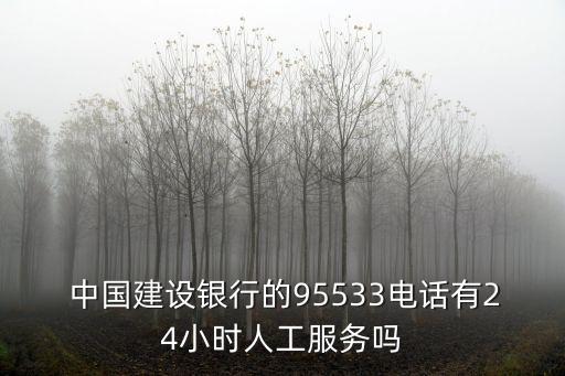  中國建設(shè)銀行的95533電話有24小時(shí)人工服務(wù)嗎