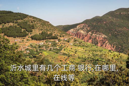 臨沂有多少家銀行,臨沂齊商銀行電話是多少