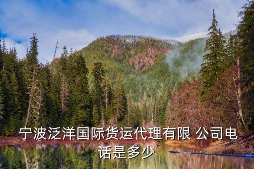  寧波泛洋國際貨運(yùn)代理有限 公司電話是多少