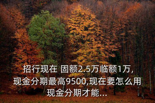 招行固額最高多少,招行young提額最高