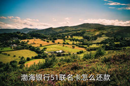  渤海銀行51聯(lián)名卡怎么還款