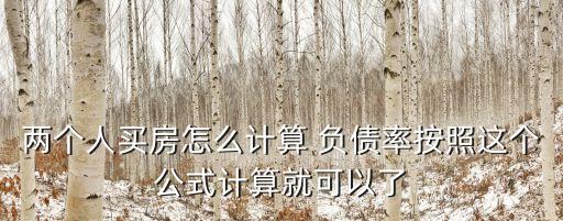 兩個(gè)人買(mǎi)房怎么計(jì)算 負(fù)債率按照這個(gè)公式計(jì)算就可以了