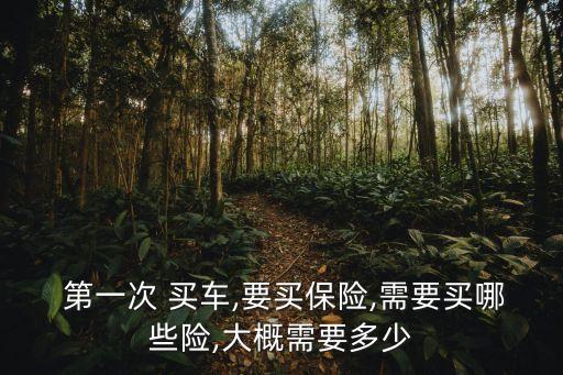  第一次 買(mǎi)車(chē),要買(mǎi)保險(xiǎn),需要買(mǎi)哪些險(xiǎn),大概需要多少