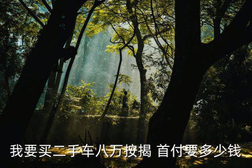 買一輛8萬車首付多少錢
