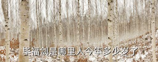  畢福劍是哪里人今年多少歲了