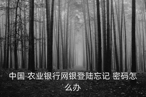 農(nóng)業(yè)銀行網(wǎng)上重置密碼是多少