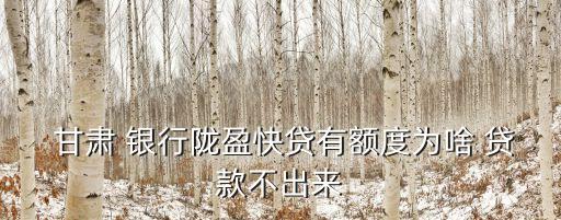  甘肅 銀行隴盈快貸有額度為啥 貸款不出來
