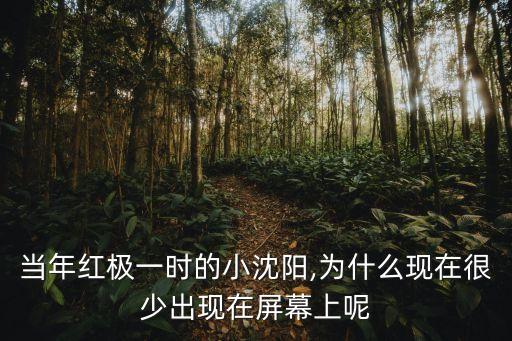 畢福劍身價多少,主持人畢福劍身價