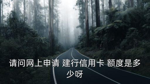 建行與卡辦卡額度多少,建行第一次辦卡額度大概是多少