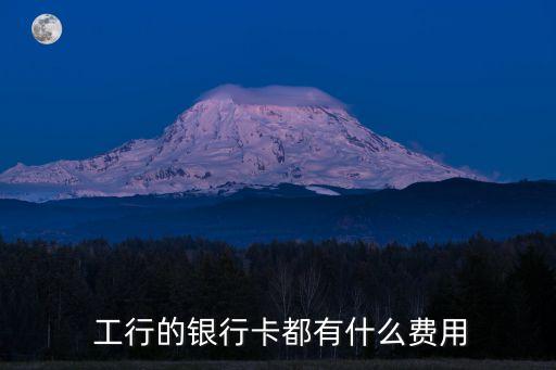 工行代收業(yè)務每月多少錢