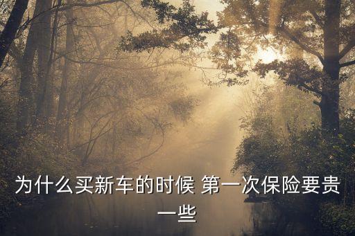 買車第一次保險(xiǎn)多少錢合適嗎,第一次買車需要注意哪些方面