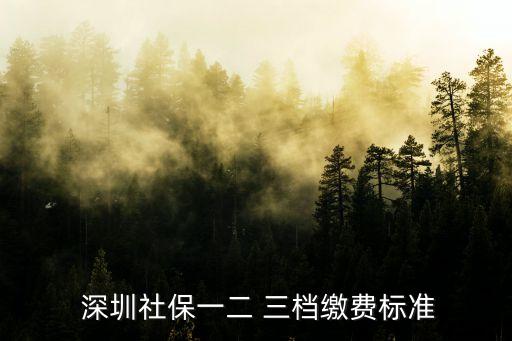  深圳社保一二 三檔繳費標準