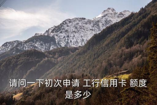 工行白金卡網申額度多少錢,工行星座簡約白金卡額度