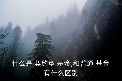 契約型基金能掙多少錢