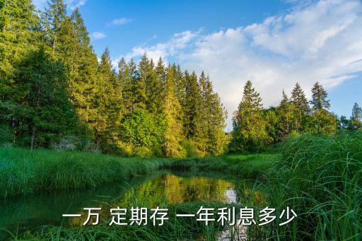 一萬 定期存 一年利息多少