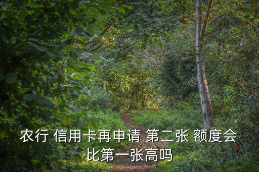 農(nóng)行 信用卡再申請 第二張 額度會(huì)比第一張高嗎
