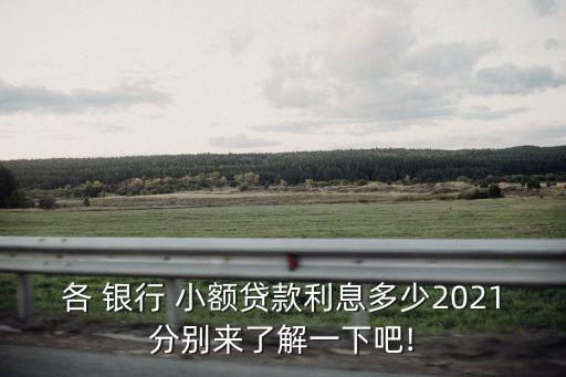 各 銀行 小額貸款利息多少2021分別來了解一下吧!