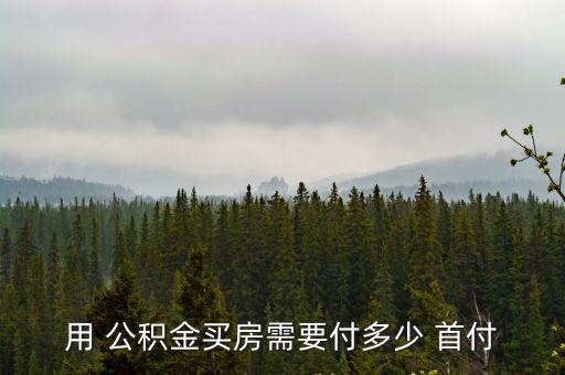 用 公積金買房需要付多少 首付