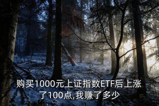 購買1000元上證指數(shù)ETF后上漲了100點,我賺了多少