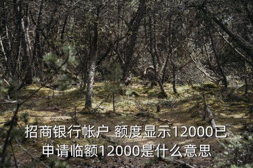 招行用臨時(shí)額度多少,招行臨時(shí)額度失效什么時(shí)候才重新有