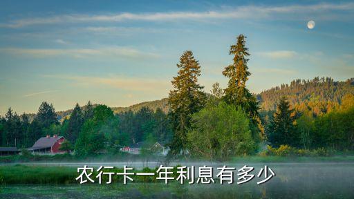 農(nóng)行卡一年利息有多少